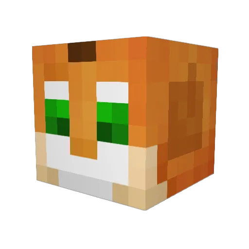HoodSquirtle Minecraft avatar head, 3D render