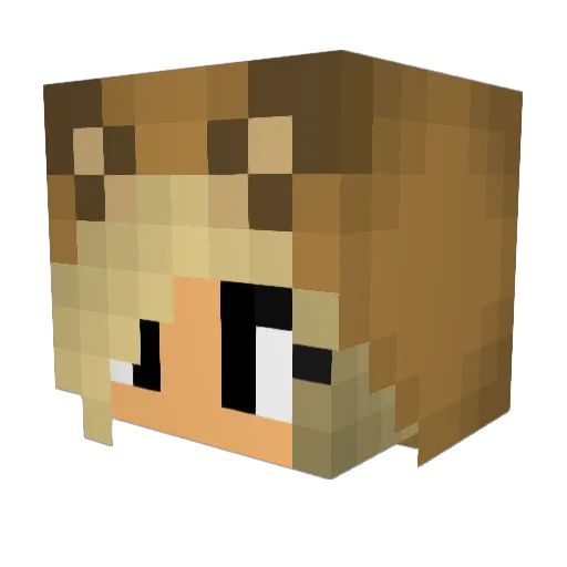 HoodieCat454 Minecraft avatar head, 3D render