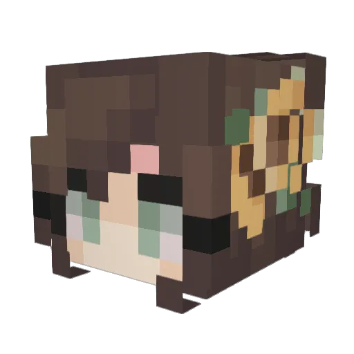 HoodieMunchkin Minecraft avatar head, 3D render