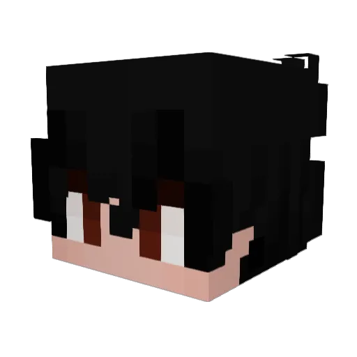 Hoodie_19 Minecraft avatar head, 3D render