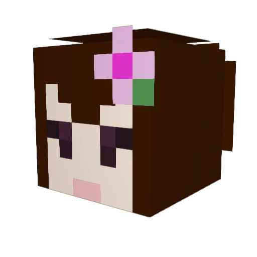 Hoodied13 Minecraft avatar head, 3D render