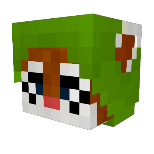 Hoodwink_ Minecraft avatar head, 3D render