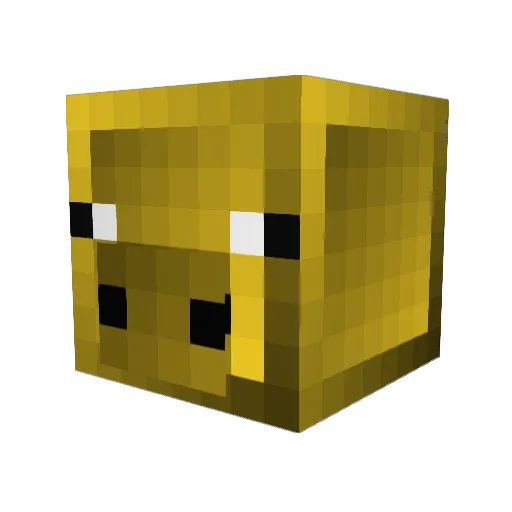 HoodyLAX05 Minecraft avatar head, 3D render