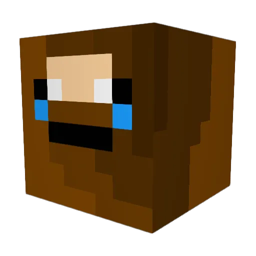 Hoogrid Minecraft avatar head, 3D render