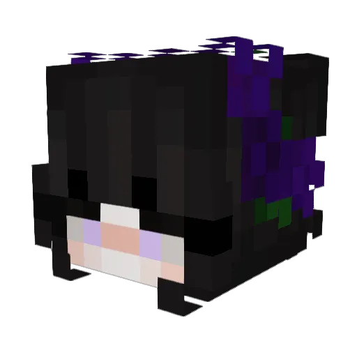 HookedOnAFeeling Minecraft avatar head, 3D render