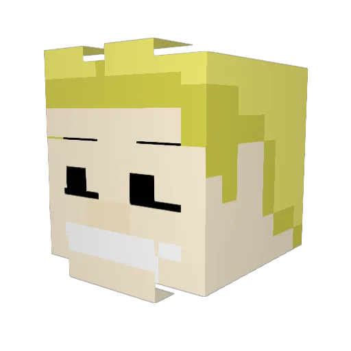 Hookshot666 Minecraft avatar head, 3D render