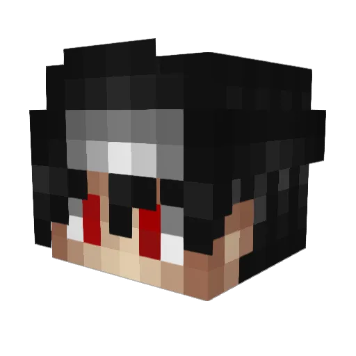 Hookzer Minecraft avatar head, 3D render