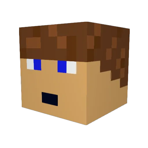 HoolaHoopGamer Minecraft avatar head, 3D render