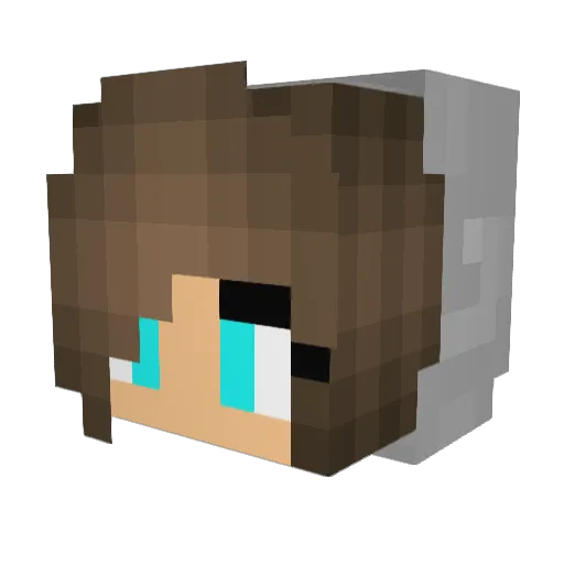 Hooligain Minecraft avatar head, 3D render