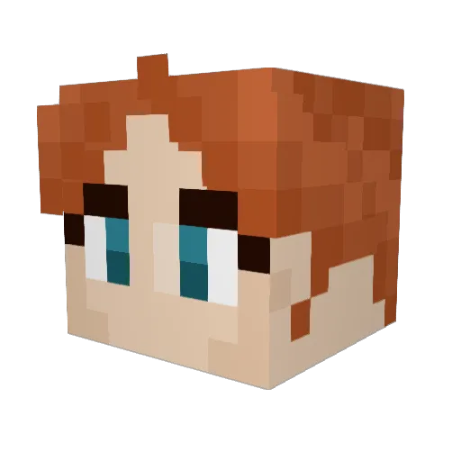 Hooliwoody Minecraft avatar head, 3D render