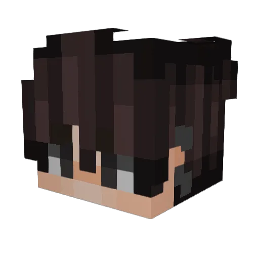 Hoolo0 Minecraft avatar head, 3D render