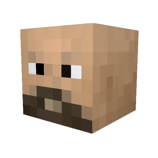 HoomanFish Minecraft avatar head, 3D render