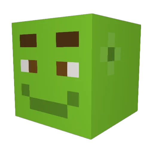 Hoomers Minecraft avatar head, 3D render