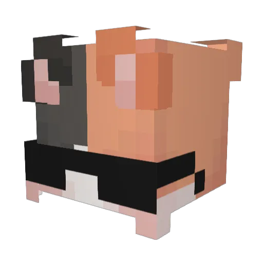HoonJk Minecraft avatar head, 3D render