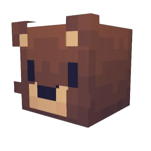 Hoonyk Minecraft avatar head, 3D render