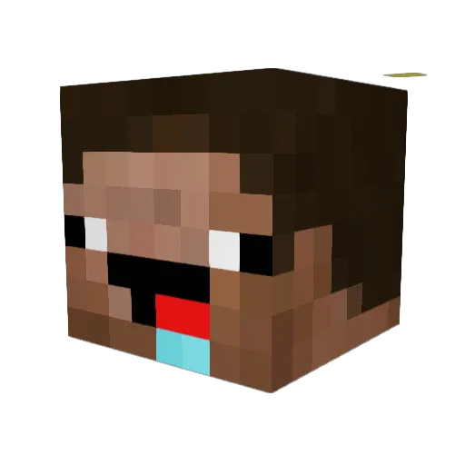 Hooodoor Minecraft avatar head, 3D render