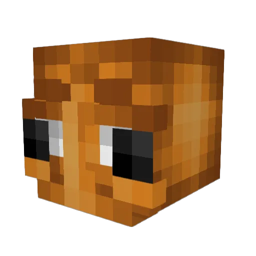 Hooompey Minecraft avatar head, 3D render