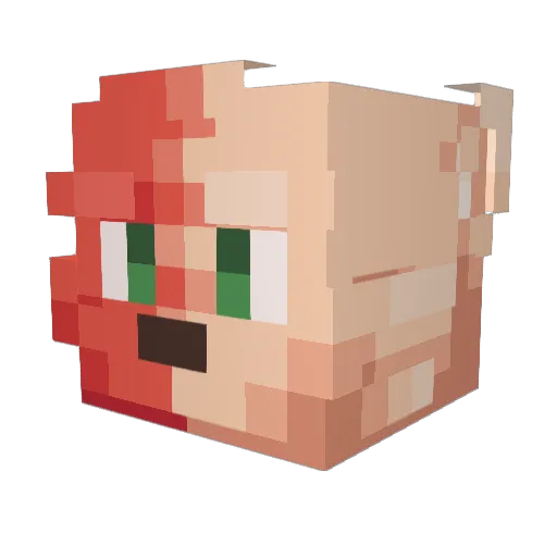 Hooots Minecraft avatar head, 3D render
