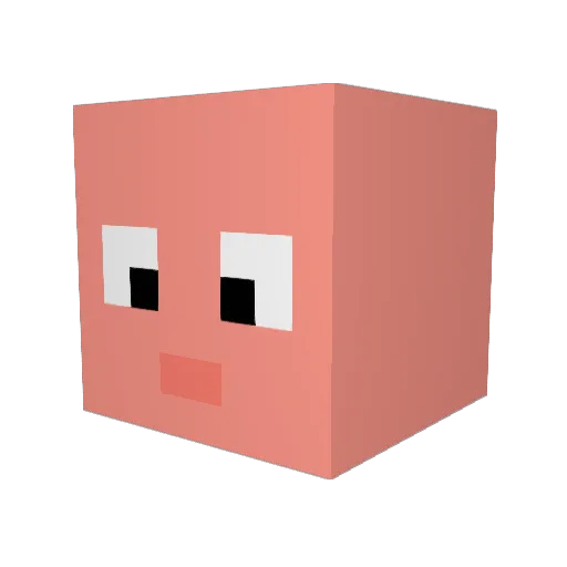 Hooper11 Minecraft avatar head, 3D render