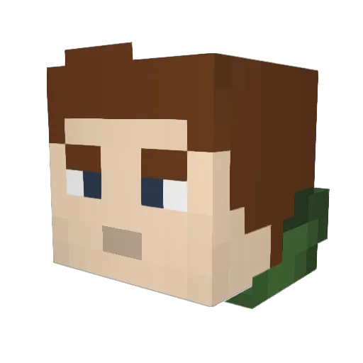 Hooper_3000 Minecraft avatar head, 3D render