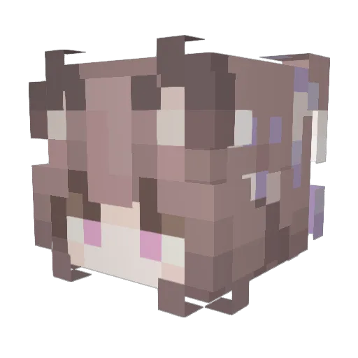 Hoopopi Minecraft avatar head, 3D render