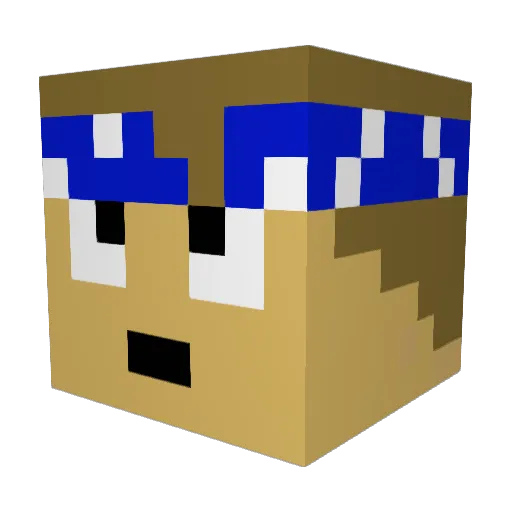 Hoosiers10 Minecraft avatar head, 3D render