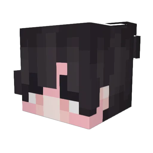 Hoote1 Minecraft avatar head, 3D render