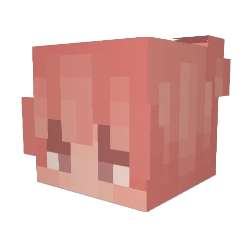 Hooters6969 Minecraft avatar head, 3D render