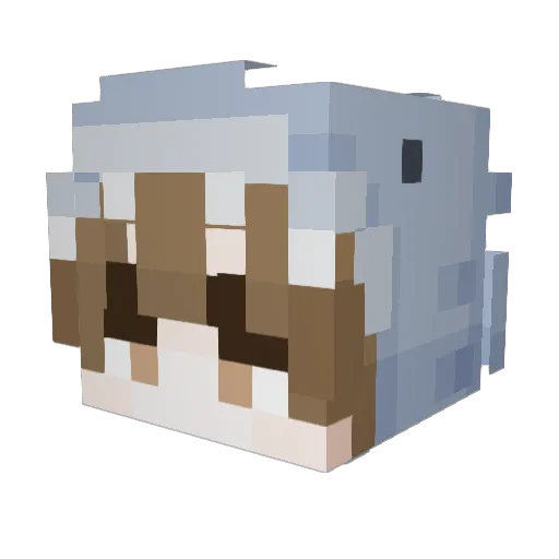 Hootfluke Minecraft avatar head, 3D render