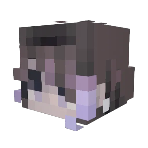 Hootimer Minecraft avatar head, 3D render