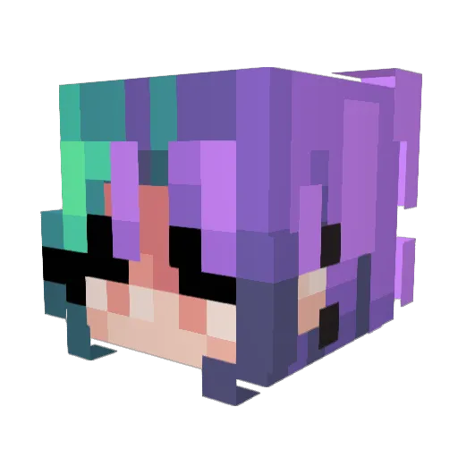 Hootman999 Minecraft avatar head, 3D render