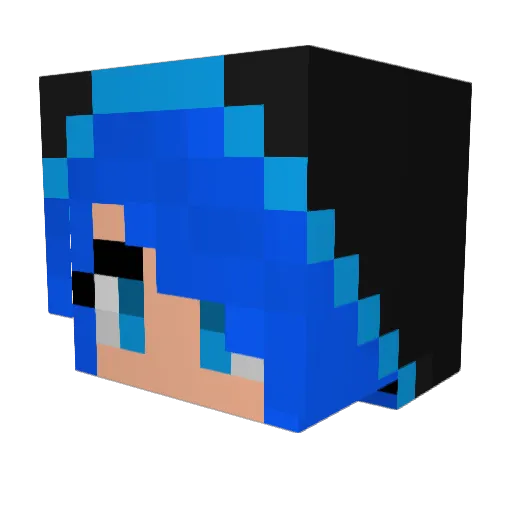 Hootowl1218 Minecraft avatar head, 3D render