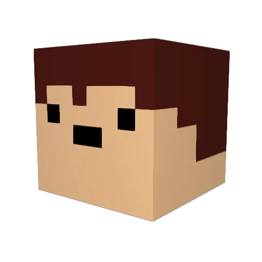 Hooversnails Minecraft avatar head, 3D render