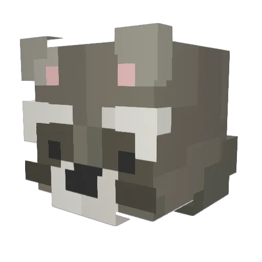 Hoovss Minecraft avatar head, 3D render