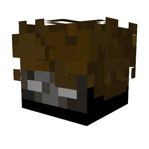 HopEric Minecraft avatar head, 3D render