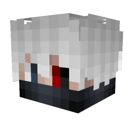 Hop_ Minecraft avatar head, 3D render