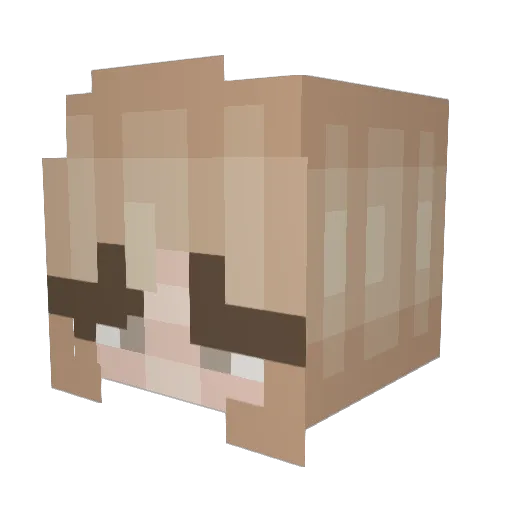 Hope033 Minecraft avatar head, 3D render