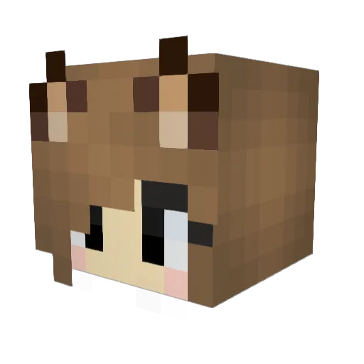 Hope1234 Minecraft avatar head, 3D render