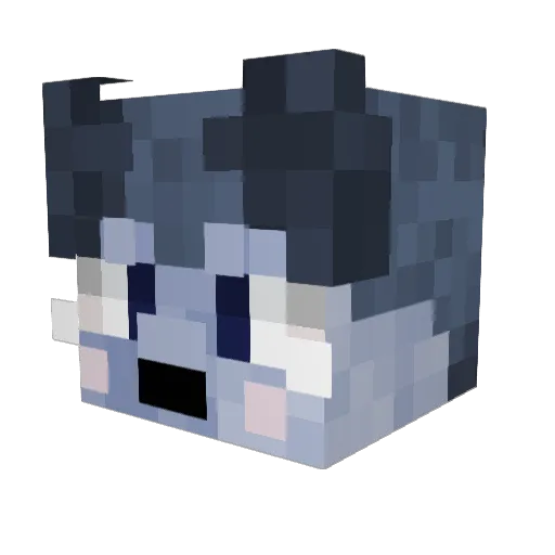 Hope4Bagels Minecraft avatar head, 3D render