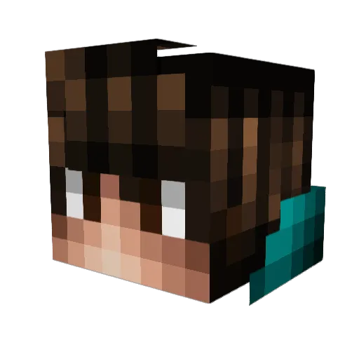 Hope9 Minecraft avatar head, 3D render