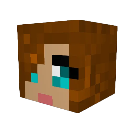 HopeBee Minecraft avatar head, 3D render