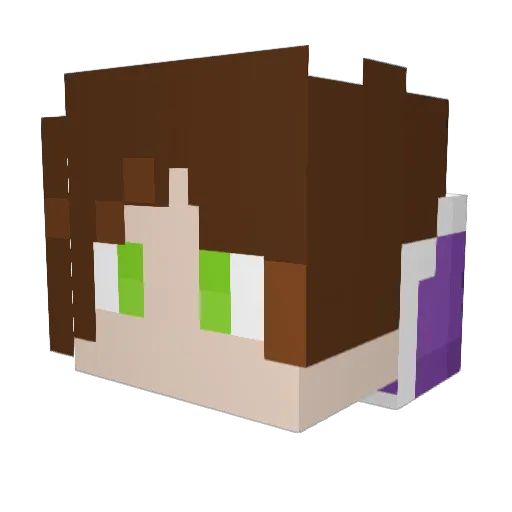HopeBoyo Minecraft avatar head, 3D render