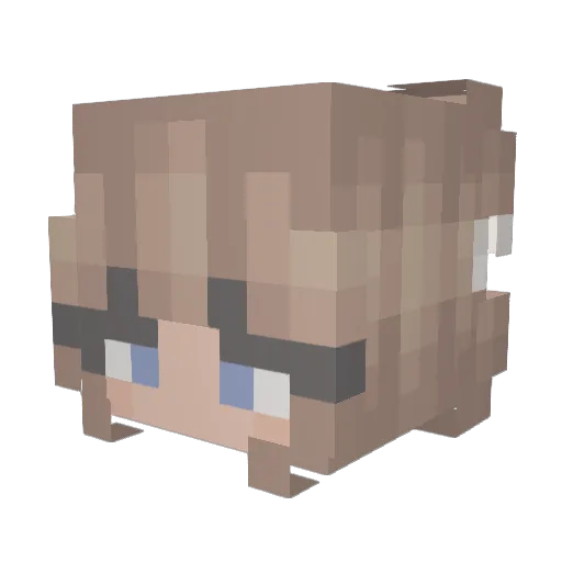 HopeD123 Minecraft avatar head, 3D render