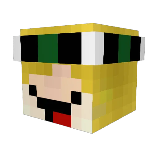 HopeThePro123 Minecraft avatar head, 3D render