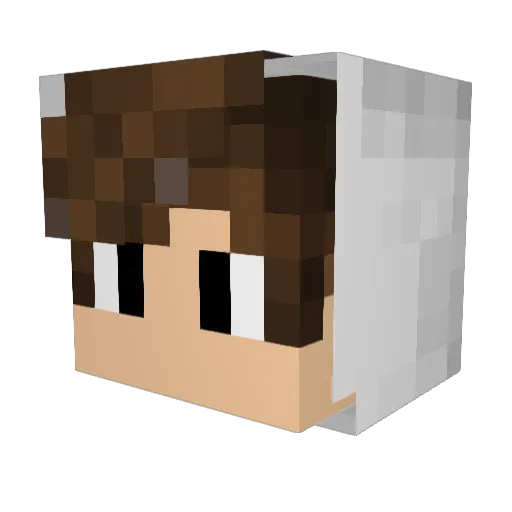 Hope_Toxi Minecraft avatar head, 3D render