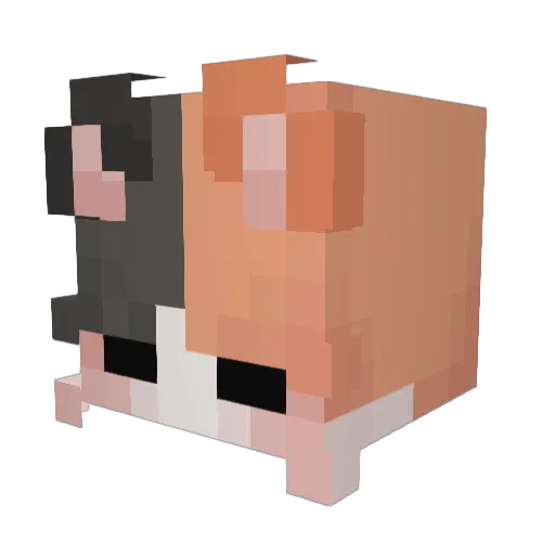 HopefulShade Minecraft avatar head, 3D render