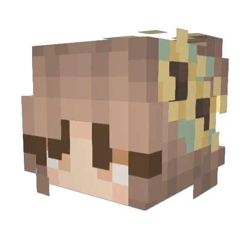 HopefulSis Minecraft avatar head, 3D render