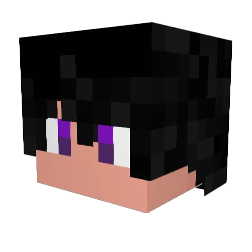HopefulWinter Minecraft avatar head, 3D render