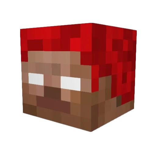 HopefulWishing Minecraft avatar head, 3D render