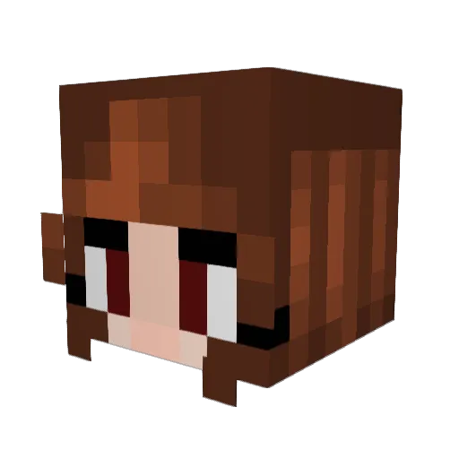Hopefulljules Minecraft avatar head, 3D render
